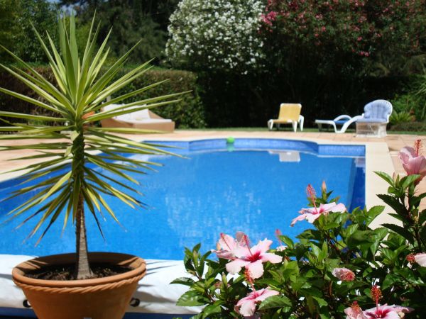 Pool Terrace Renovation in Orem